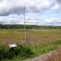 Interpretive Sign