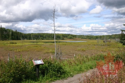 Interpretive Sign