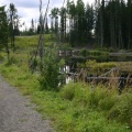 Nature Trail