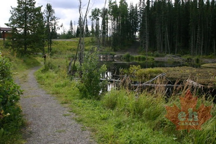 Nature Trail