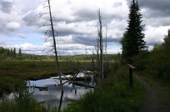 Beaver Dam Pond