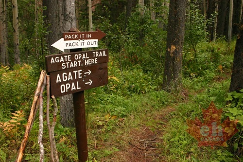 Opal Bed Trail