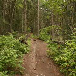 Dickson Mountain