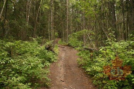 Hiking Trail