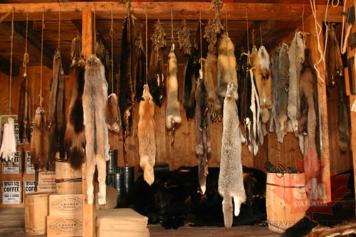 Fur Racks