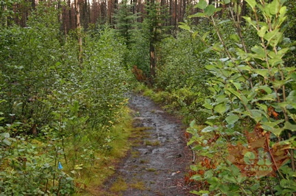 Hiking Trail