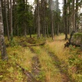 Hiking Trail
