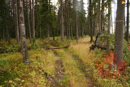 Hiking Trail