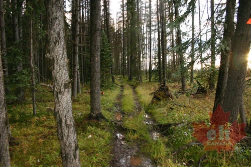 trail 002.jpg