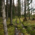 Hiking Trail