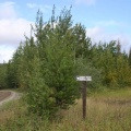 Directional Sign