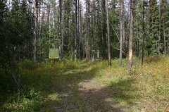Parking Lot