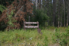 Trail Sign