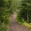 Hiking Trail (2627 visits) Trail along the shores of Hogsback Lake Hiking Trail