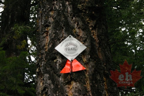 trailmarker.jpg