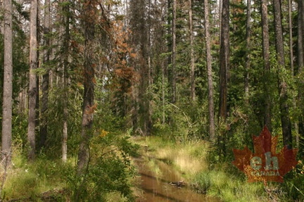 Hiking Trail