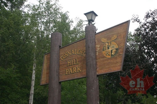 Entrance Sign