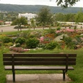Viewing Bench