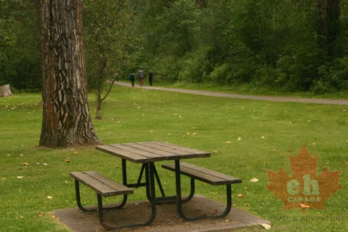 Picnic Tables