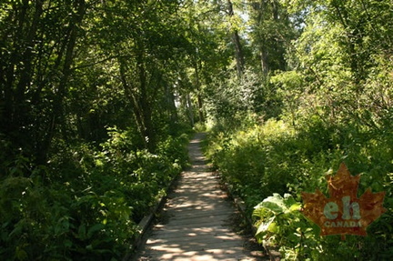Hiking Trail