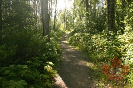 Hiking Trail