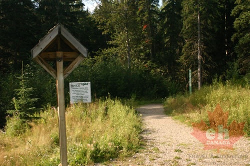 Trailhead Path