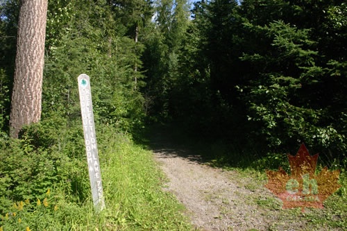 trail_markers 003.jpg