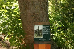Interpretive Sign