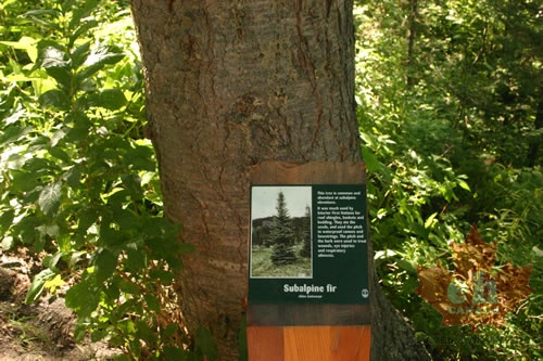 Interpretive Sign
