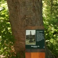 Interpretive Sign
