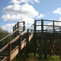 Viewing Platform