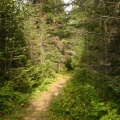 Hiking Trail