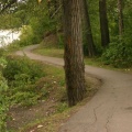Walking Path