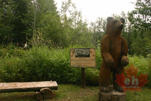 Chainsaw Art