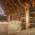 Hay