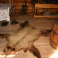 Bear Rug