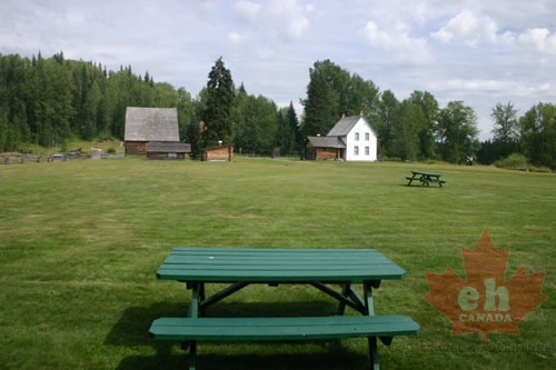 Picnic Table