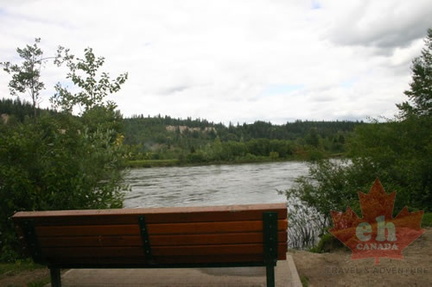 Viewing Bench