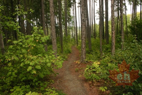 Hiking Trail