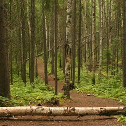 LC Gunn Park