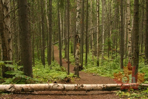 trail 002.jpg