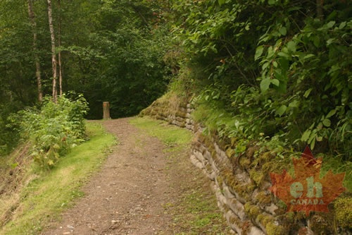 Hiking Trail