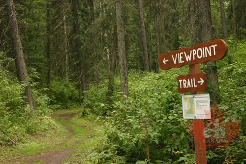 Trail Marker