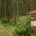 Trail Marker