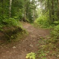 Viewpoint Hiking Trail