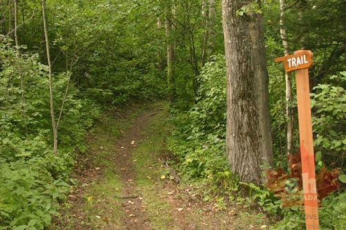 Viewpoint Trail Marker
