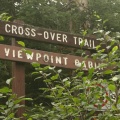 Viewpoint Cabin