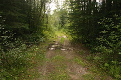 Adventure Trail