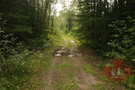 Adventure Trail