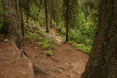 Hiking Trail